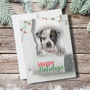 Hund Peeking jul Ljus Helgdag Card Kort