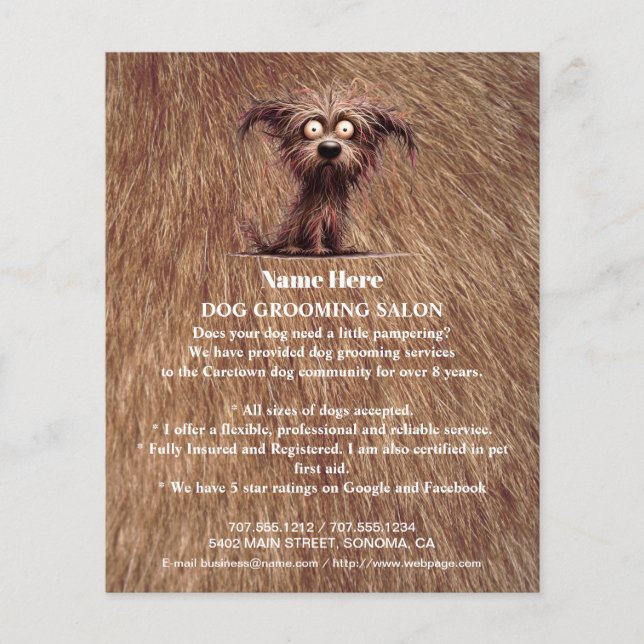 Hund-personlig-flygare Flygblad (Framsidan)