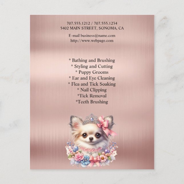 Hund-personlig-flygare Flygblad (Baksidan)