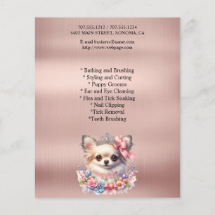 Hund-personlig-flygare Flygblad