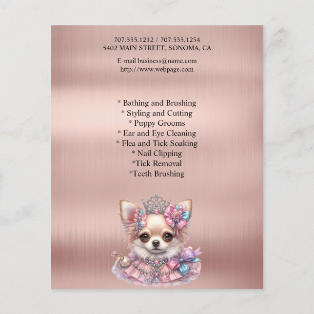 Hund-personlig-flygare Flygblad (Baksidan)
