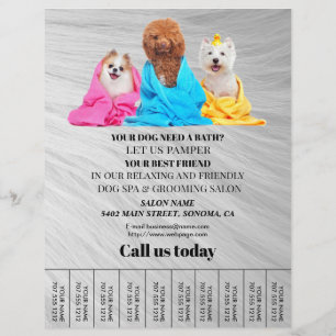 Hund-personlig-flygare Reklamblad