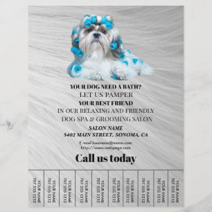 Hund-personlig-flygare Reklamblad