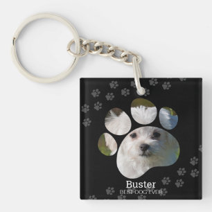 Hund personlig Paw Skriv ut fotokopia