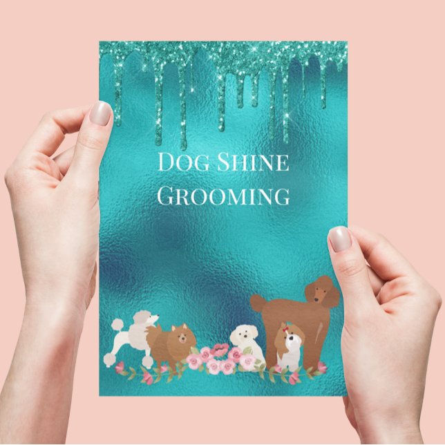 Hund Pet Grooming Sitta Business Glitter Flygblad (Skapare uppladdad)