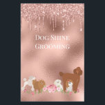 Hund Pet Grooming Sitta Business Glitter Flygblad<br><div class="desc">Den här designen kan vara personlig i det område som tillhandahålls genom att ändra fotot och/eller text. Du kan också anpassa den genom att klicka för att anpassa ytterligare alternativ och ta bort eller ändra färg i bakgrunden, lägga till text, ändra texten färg eller stil eller ta bort texten för...</div>