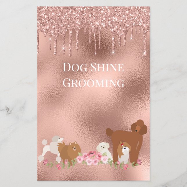 Hund Pet Grooming Sitta Business Glitter Flygblad (Framsidan)