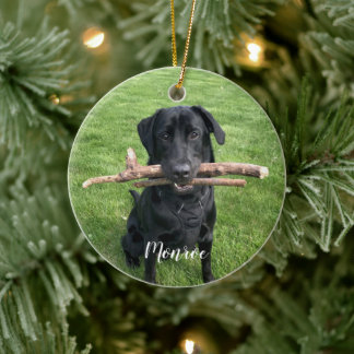 Hund Pet Personlig Namn och Photo Helgdag Julgransprydnad Keramik