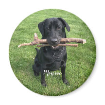 Hund Pet Personlig Namn och Photo Helgdag