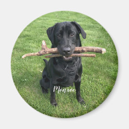 Hund Pet Personlig Namn och Photo Helgdag Magnet