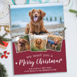 Hund Pet Photo Collage we Woof You God jul Helg Vykort<br><div class="desc">Vi Woof You A God jul! Skicka söta och roligt semesterhälsningar med det här toppen anpassningsbarna för söta helgdag. God jul önskemål från hund med söt tass avtryck i en roligt med modern fotokollage. Lägg till foton eller foton från din hund med hund och anpassa dig efter familj namn, meddelande...</div>