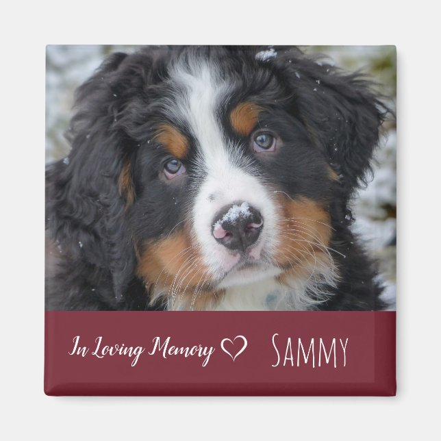 Hund Pet Photo Memorial - Pet Loss Loss Sympathy Q Magnet (Framsidan)