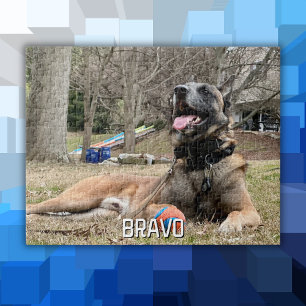 Hund Pet Photo & Namn,Familjenatt,Coolans Roligt A Pussel