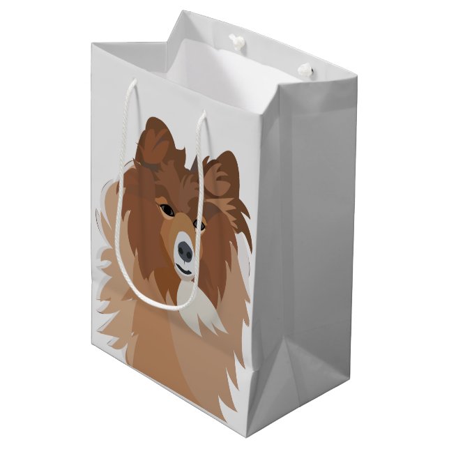 Hund Pet Sheltie Hund (Framsidan Vinklad)
