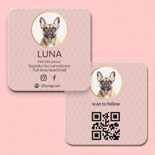 Hund Pet Social Media QR-kod Rosa Foto Fyrkantigt Visitkort