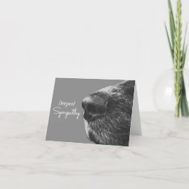 Hund Pet Sympathy | Hund kondoleans Kort