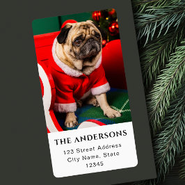 Hund Photo Älskare Photo jul Helgdag Pawlidays Fraktsedel