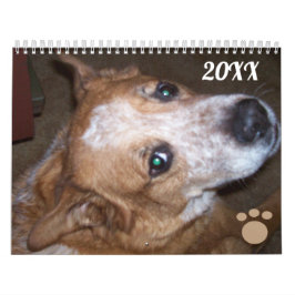 Hund Photo Calendar Ginger Queensland Heeler Kalender