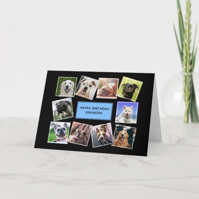 Hund Photo Collage Blue Birthday Card Kort (Framsida)