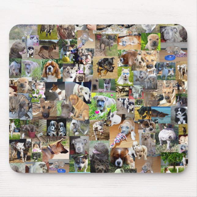 Hund Photo Collage Musmatta (Framsidan)