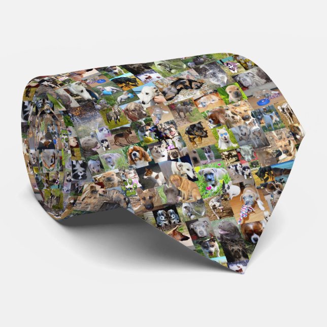Hund Photo Collage Slips (Rullad)