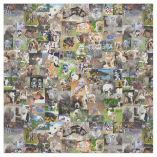 Hund Photo Collage Tyg