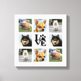 Hund Photo College 8 Instagram bilder