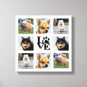 Hund Photo College 8 Instagram bilder