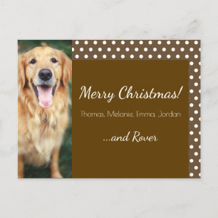 Hund Photo Family Namn Polka Dot Helg Vykort