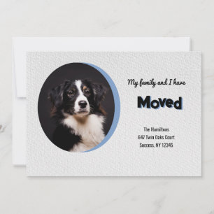 Hund Photo Flytta Announement Meddelande