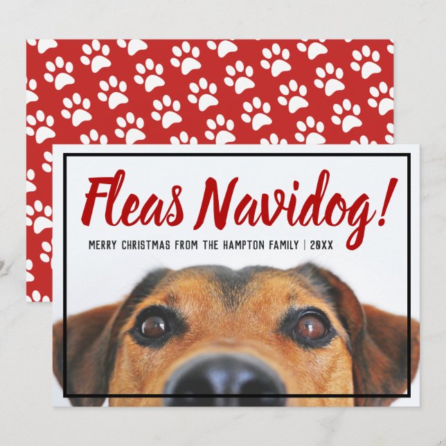 Hund Photo Funny Feliz Navidad jul Pet Julkort (Fram/baksida)