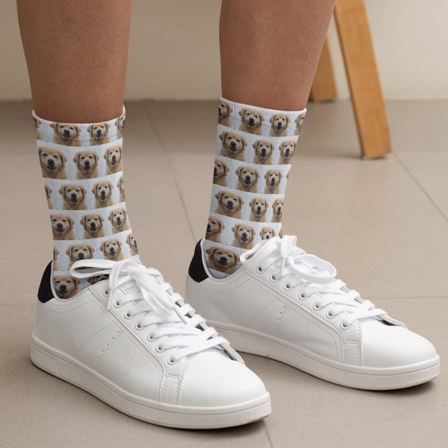 Hund Photo Golden Retriever Puppy Pet Strumpor (Dog Photo Golden Retriever Puppy Pet Socks)