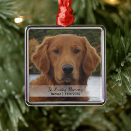 Hund Photo in Loving Memory Namn-årshelg Julgransprydnad Metall