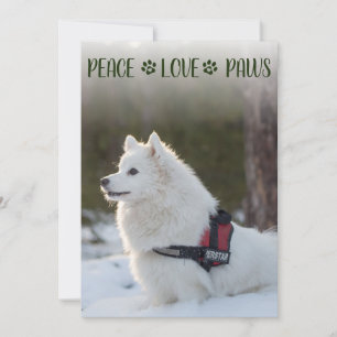 Hund Photo-julklapp - platta kort