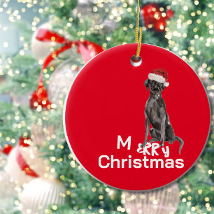 Hund Photo Merry Hälsning Julgransprydnad Keramik