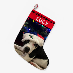 Hund Photo & Namn   Red Black Tass avtryck Liten Julstrumpa