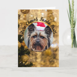 Hund Photo Personalize Namn julkort Helgdag Helgkort