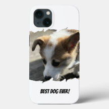 Hund Photo Pet Fodral-Mate iphone case