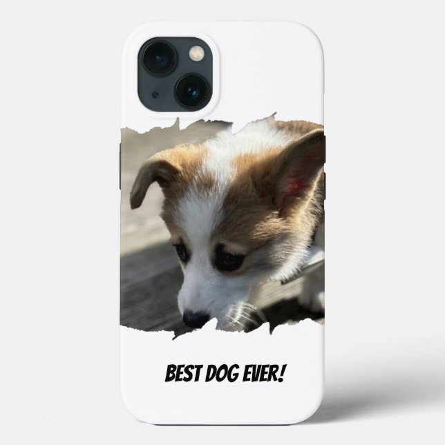 Hund Photo Pet Fodral-Mate iphone case (Baksida)