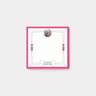 Hund Photo PostIT-anteckningar med Tassar och hörn Post-it Block