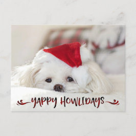 Hund Photo Red Buffalo Check Script YAPPY HOWLIDAY Helg Vykort