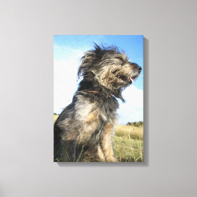 Hund Photo Single Canvastryck (Framsida)