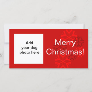 Hund Photo Snowflake Red White-julkort Julkort