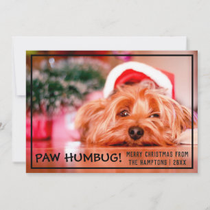 Hund Photo Tass Humbug Pet-jul Julkort