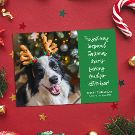 Hund Photo (ung. Jul Cheer) Julkort