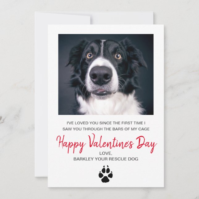 Hund Photo Valentine-dagen från Hund Julkort (Framsida)