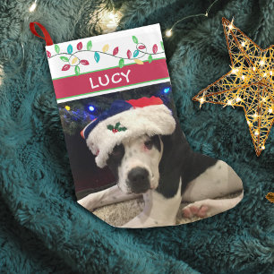 Hund Photo Watercolor Helgdag Ljus Liten Julstrumpa