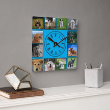 Hund Photos Collage på blå bakgrund