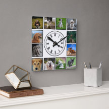 Hund Photos Collage på vit bakgrund