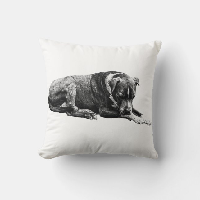 Hund Pillow för skuggat lounge Kudde (Framsida)
